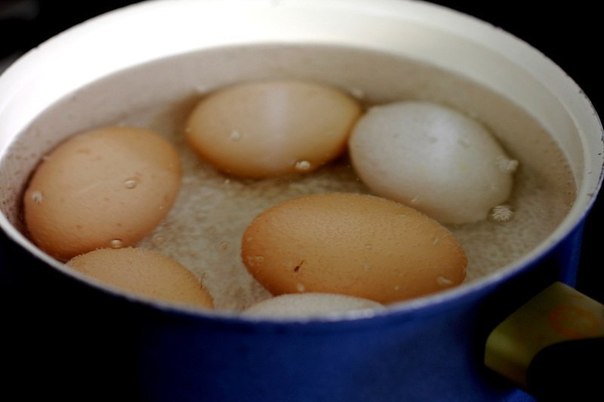 Фаршированные яйца с васаби и семгой