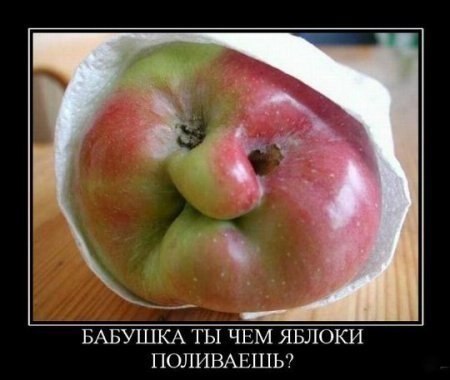 Чудо-яблочки ))