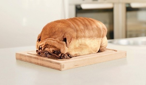 Буханка хлеба!!!