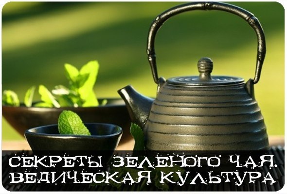 Секреты зеленого чая. Ведическая культура