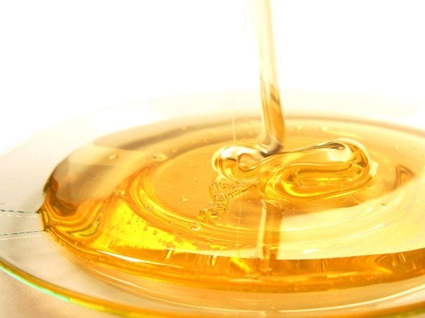 5 советов как распознать натуральный мед.