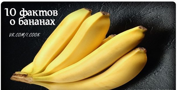10 фактов о бананах