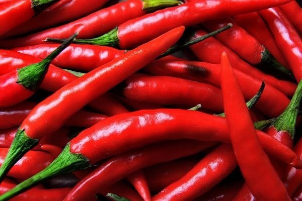 Полезные свойства красного острого перца (чили)