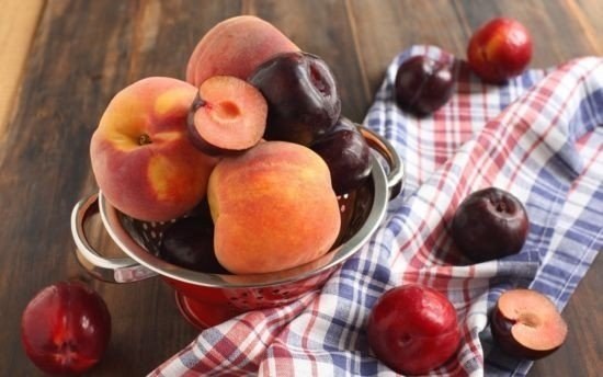 Персики и сливы лечат рак