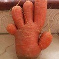 морква - рука