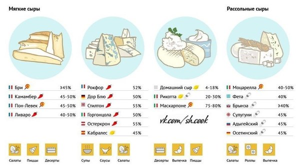 Виды сыра и их использование в кулинарии