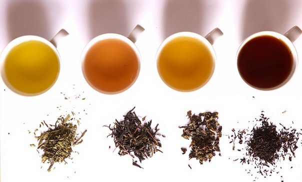 Все, что нужно знать о чае: полезные свойства качественного чая.
