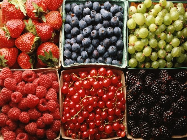 Правила хранения и размораживания замороженных ягод и фруктов