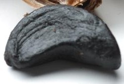 Черный чеснок очень популярен в Японии, США, Австралии, Европейском Союзе и используется в кулинарной промышленности. Его популярность обусловлена тем, что Черный Чеснок не имеет запаха, на вкус сладкий, а его активность в десять раз!!! превышает активность обычного чеснока.