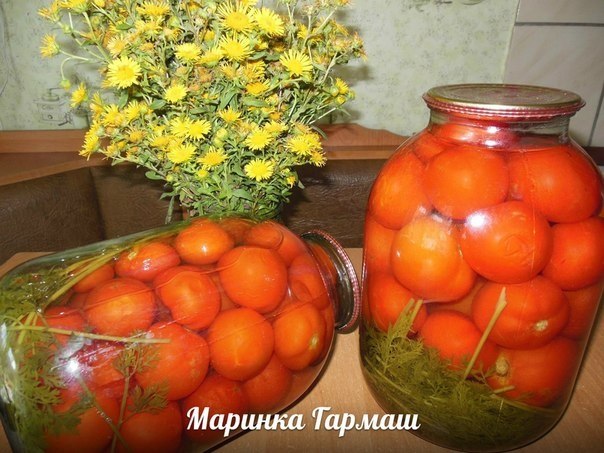 Армянские помидоры с морковной ботвой..