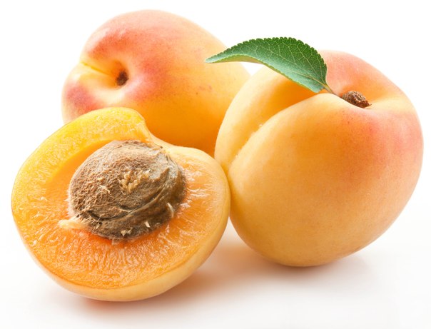 Полезные и Опасные свойства абрикоса