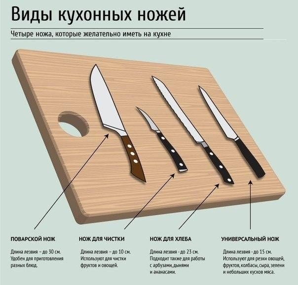 Шпаргалка на кухню: ножи.