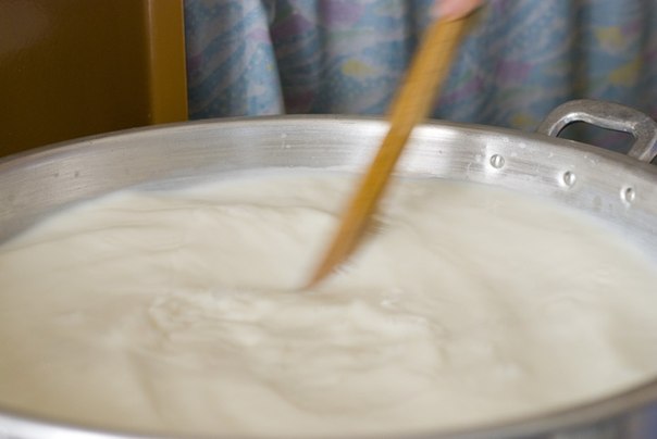 Приготовление домашнего сыра качотта и рикотты из непастеризованного молока.