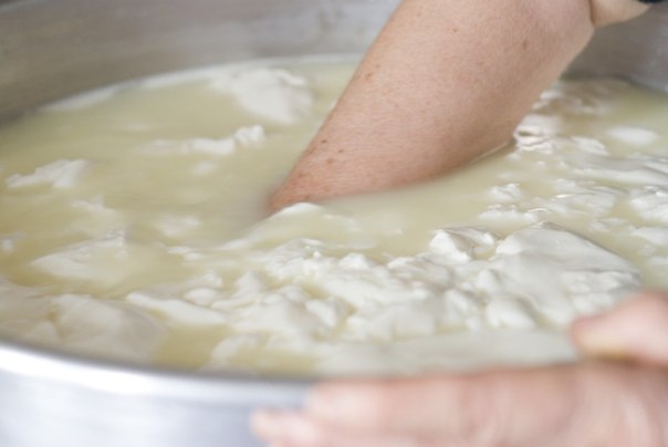 Приготовление домашнего сыра качотта и рикотты из непастеризованного молока.