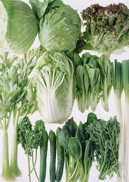 Способы сохранения цвета зеленых овощей при тепловой обработке.