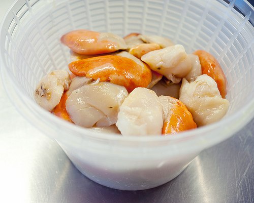 Морские гребешки под соусом из цукини с грибами.