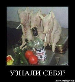 Делитесь своим зарядом позитива в альбоме: